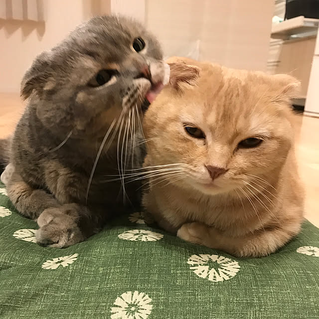 keco.910さんの実例写真