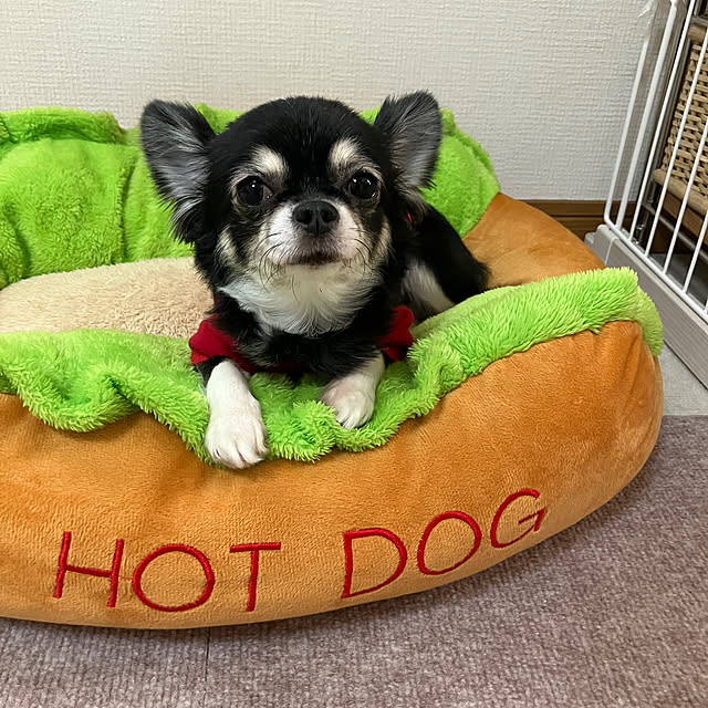 koroさんの実例写真