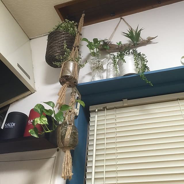 naoaonojoさんの実例写真