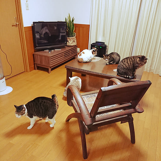 nachiさんの実例写真