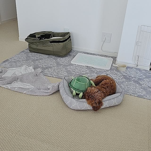 Pokoさんの部屋
