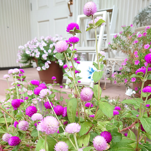 fleur-mamanさんの実例写真