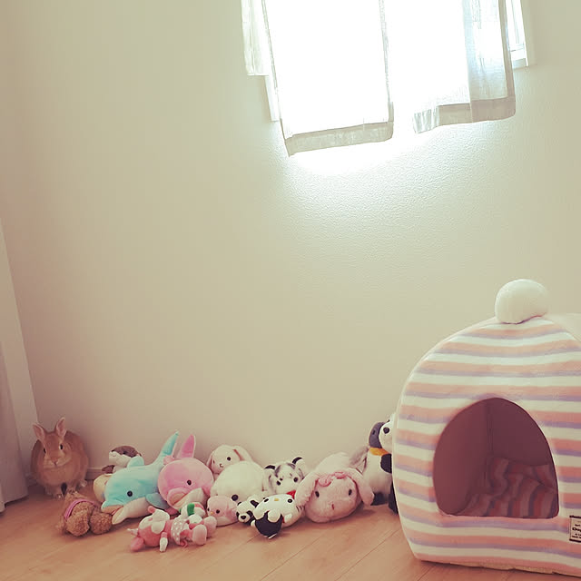 aiさんの実例写真