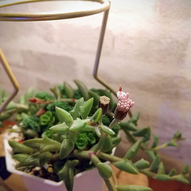 meiさんの実例写真