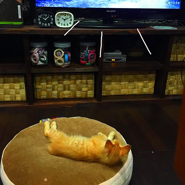 moriyamanekoさんの実例写真