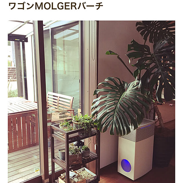 maimai0110さんの実例写真