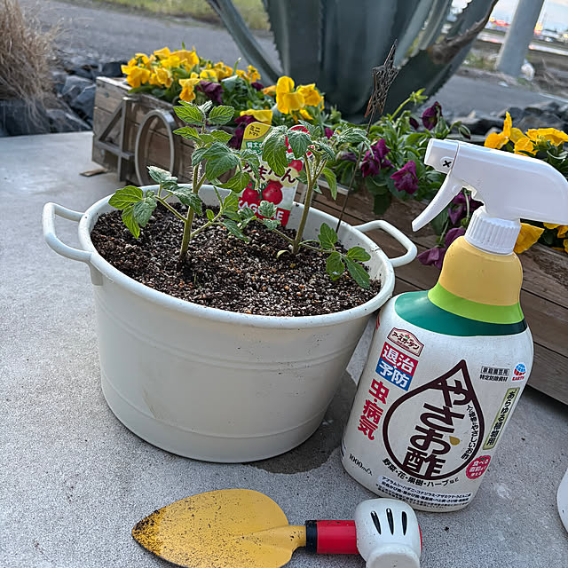 RYOさんの実例写真