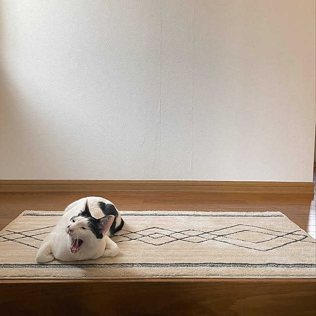 nobikoさんの実例写真