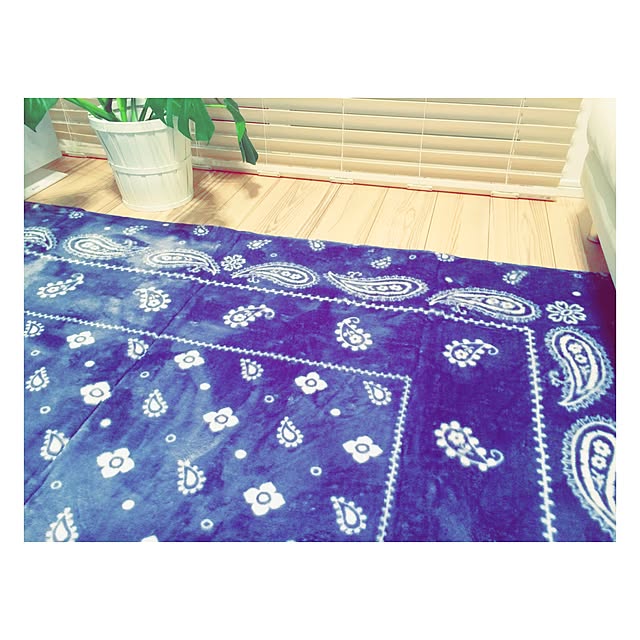 laniさんの実例写真