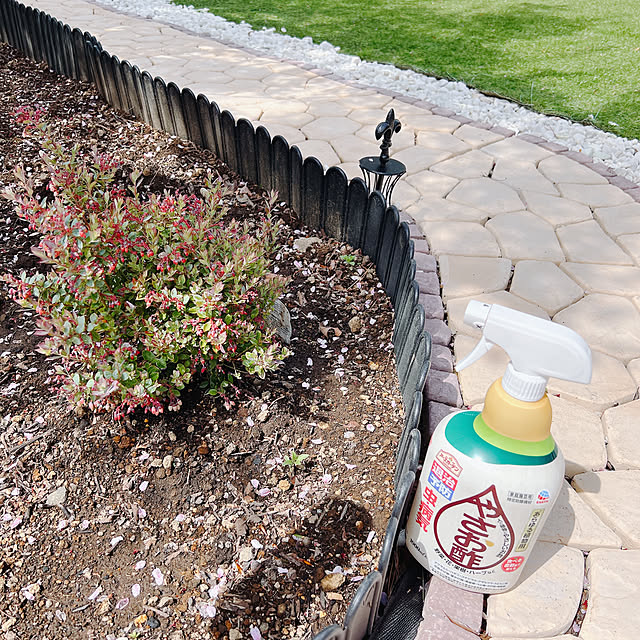 chanduさんの実例写真