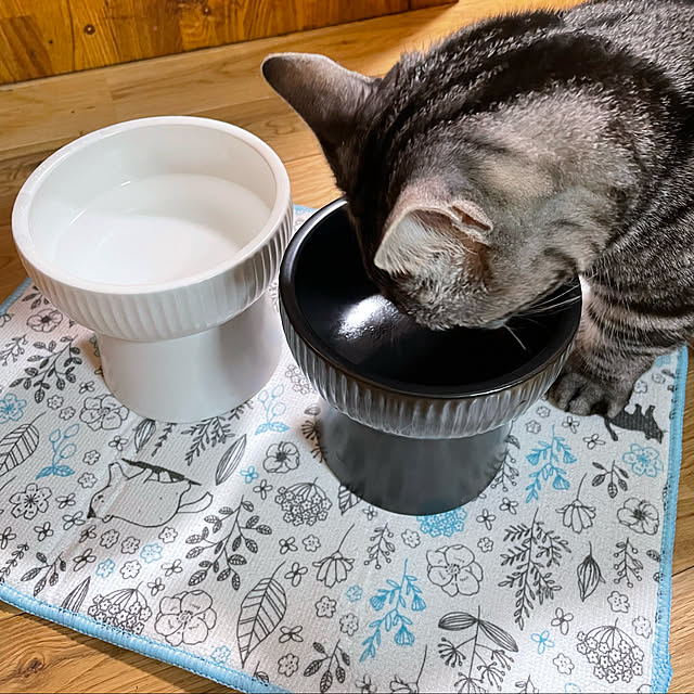 yumiさんの実例写真