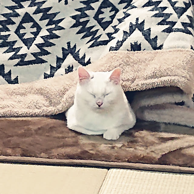 MIPORINNさんの実例写真