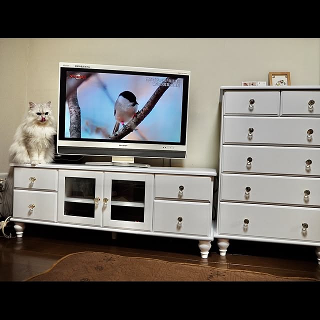 miravivianさんの実例写真