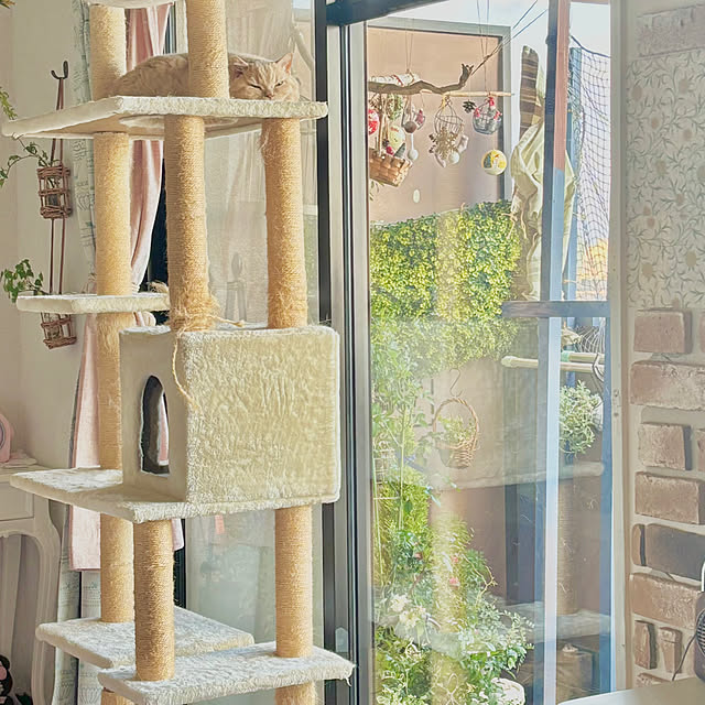naokoさんの部屋
