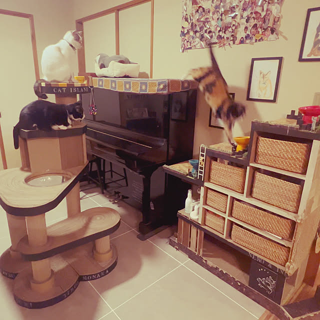 POMERUNさんの実例写真