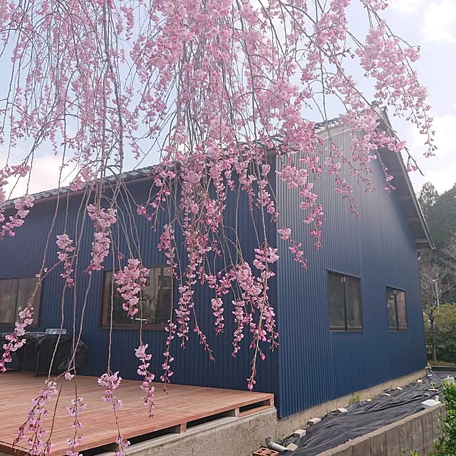 artfieldさんの部屋