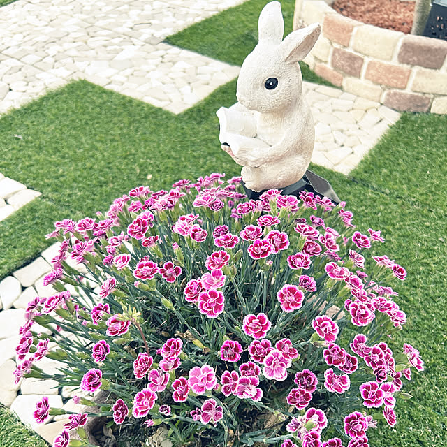 yunyumさんの実例写真
