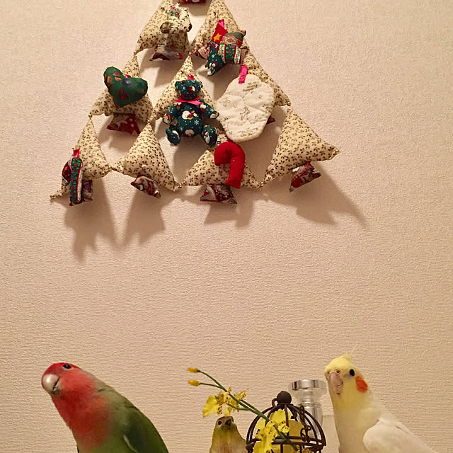 toratanさんの実例写真