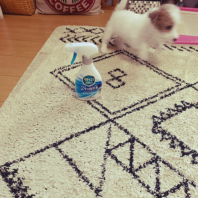 Fumiさんの実例写真