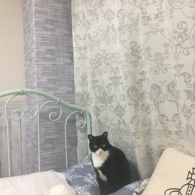 panaさんの実例写真