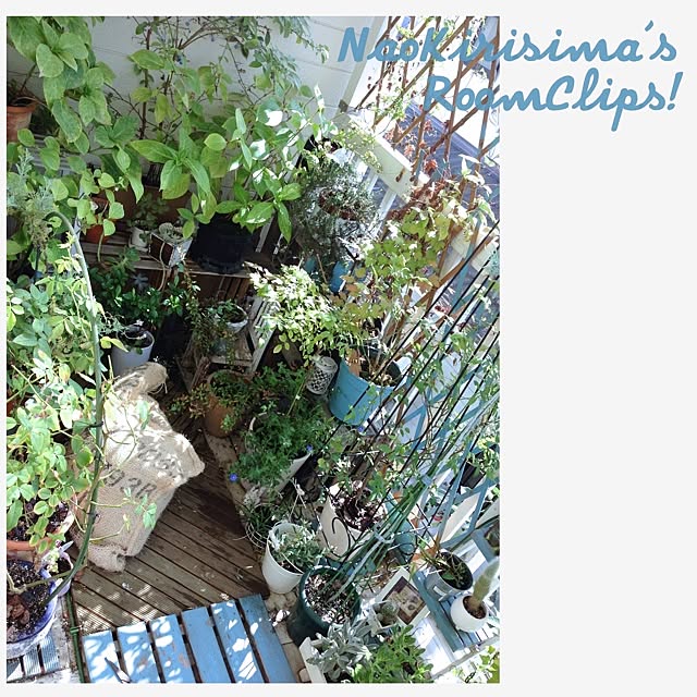 naokirisimaさんの実例写真