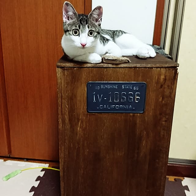kiraさんの実例写真