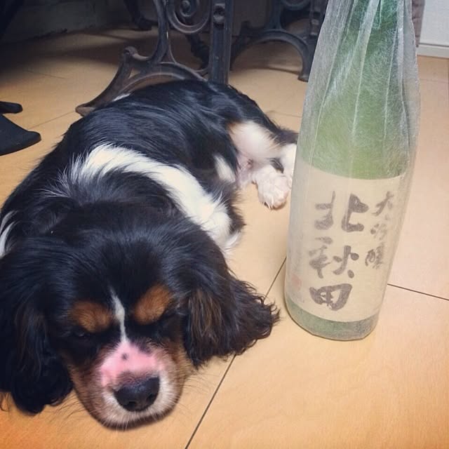 jun.さんの実例写真