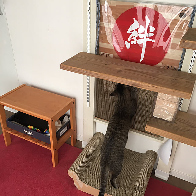 mikomaruさんの実例写真
