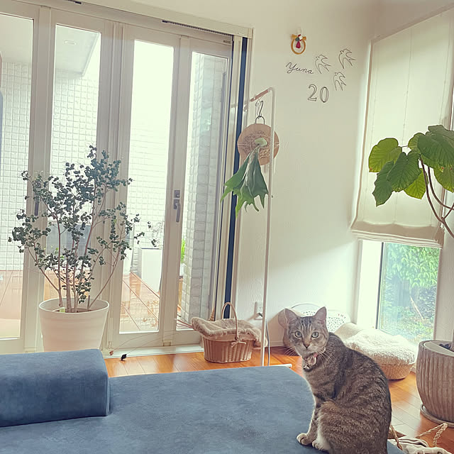 sayapiさんの実例写真