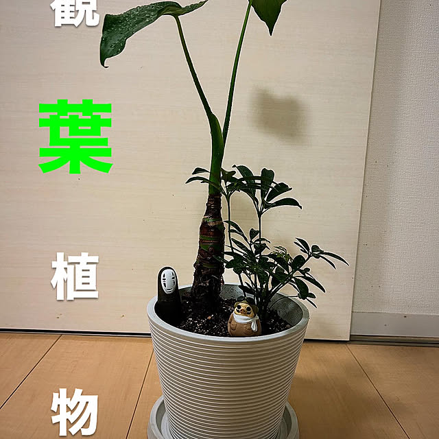 kkさんの部屋