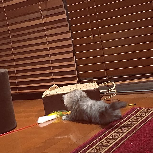 prchさんの実例写真