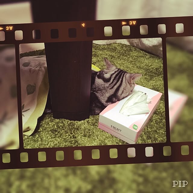 hiro_mashさんの実例写真