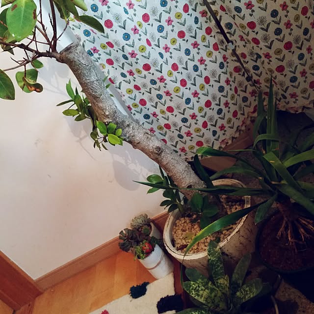sun-sun.helloさんの実例写真