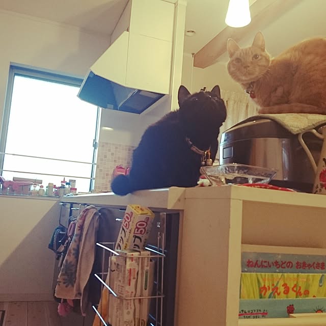 makkiiさんの実例写真