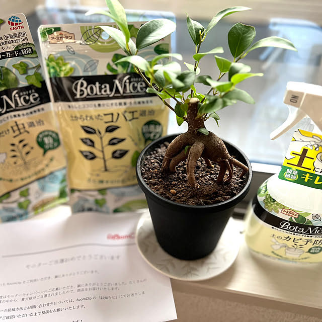 karinさんの実例写真