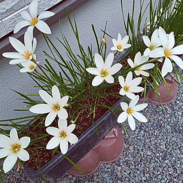 mocomocoさんの部屋