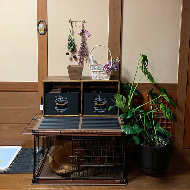 milkさんの実例写真