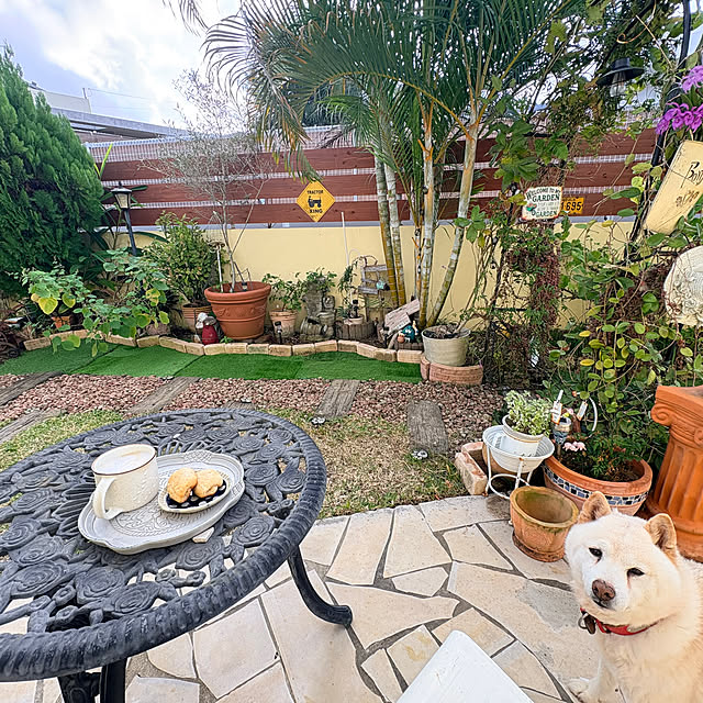 bu-bu-chanさんの実例写真