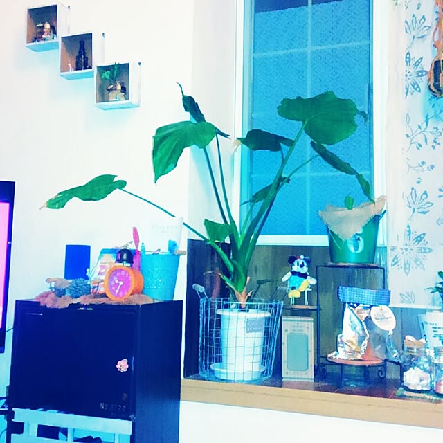 chako.さんの実例写真