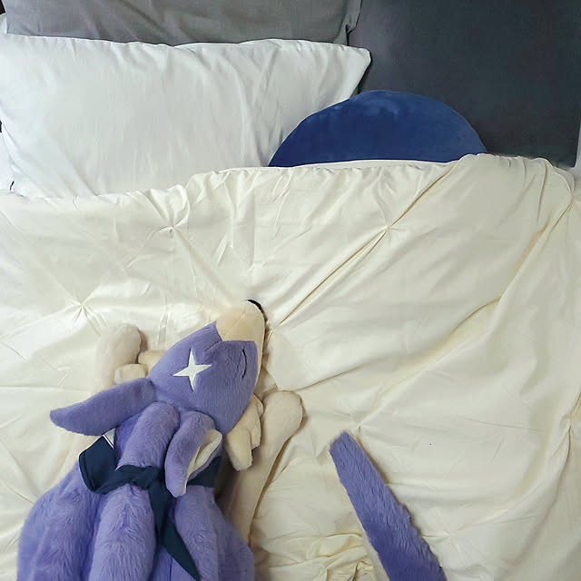 macotさんの実例写真
