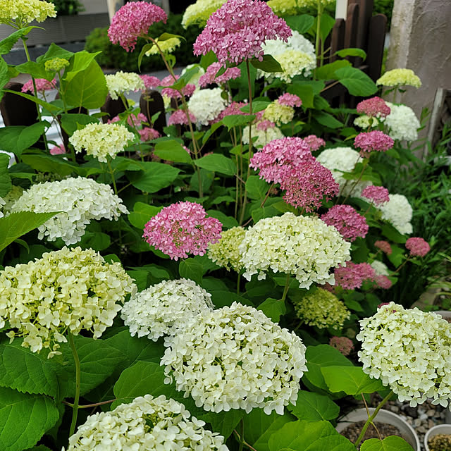 VIORAさんの実例写真