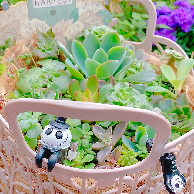 Hanakaさんの実例写真