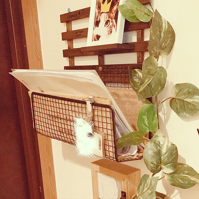 Kaguraさんの実例写真