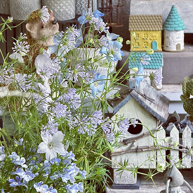 DAYONEさんの実例写真