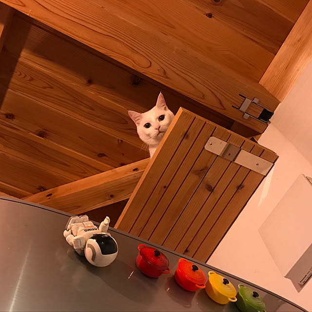 sakurasakuさんの実例写真