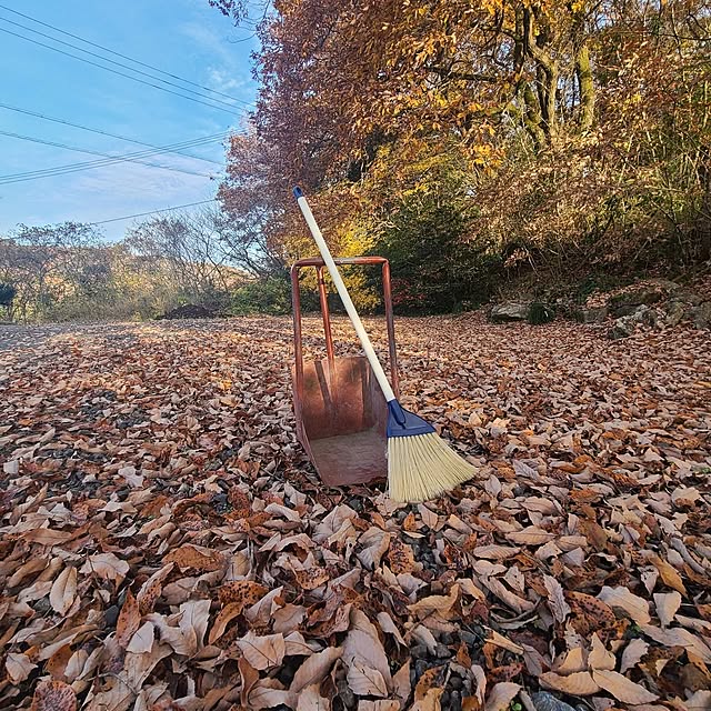 Rubiconさんの実例写真