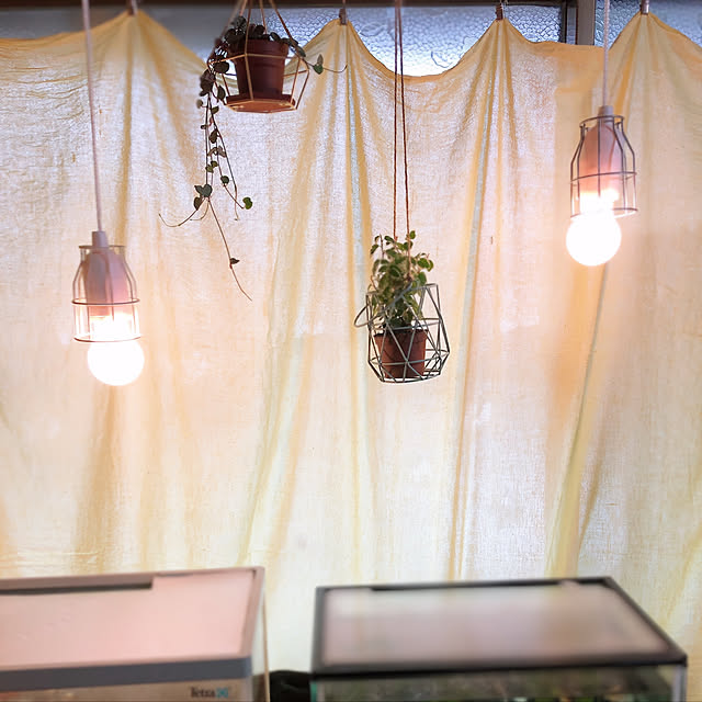 DIY/100均/観葉植物/照明/壁/天井のインテリア実例 - 2020-03-01 17:11:17