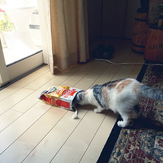 yokkochanさんの実例写真