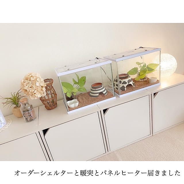 chaluさんの実例写真