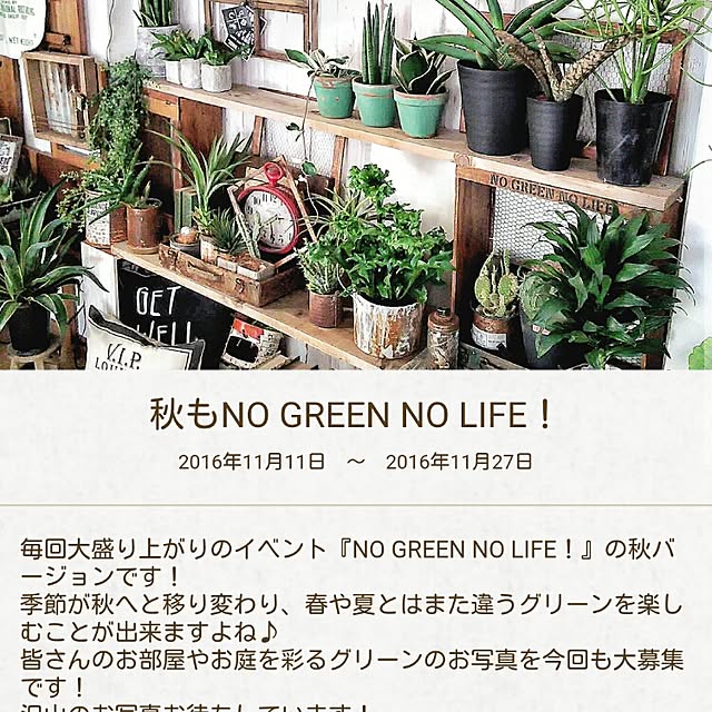 ugさんの実例写真